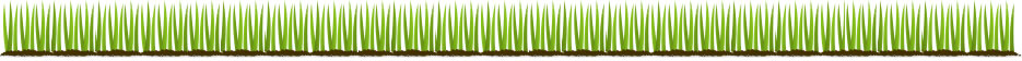 Bonkoski Lawn Care - East Dundee IL - Your Lawn Care Service since 1984 - QUALITY FROM THE GROUND UP